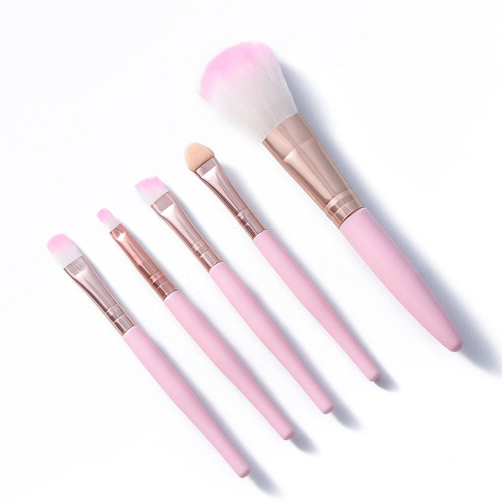 5pcs Makeup Brush Set Beginner Beauty Tools Makeup