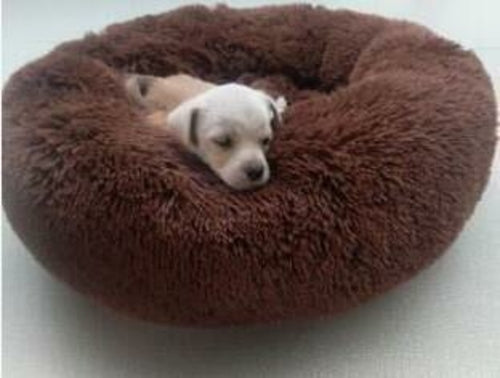 Pet Dog Bed