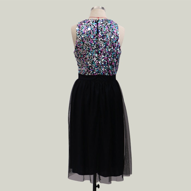 O-Neck Sequins A-Line Dress