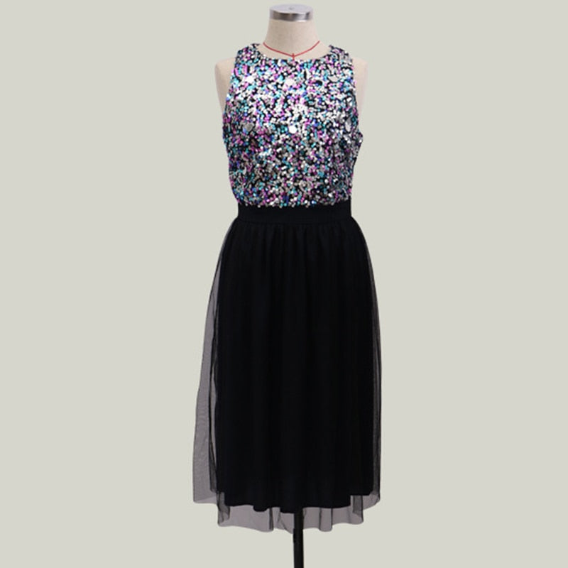 O-Neck Sequins A-Line Dress