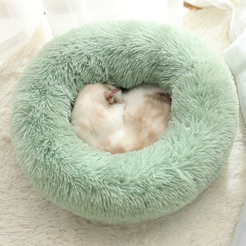 Pet Dog Bed