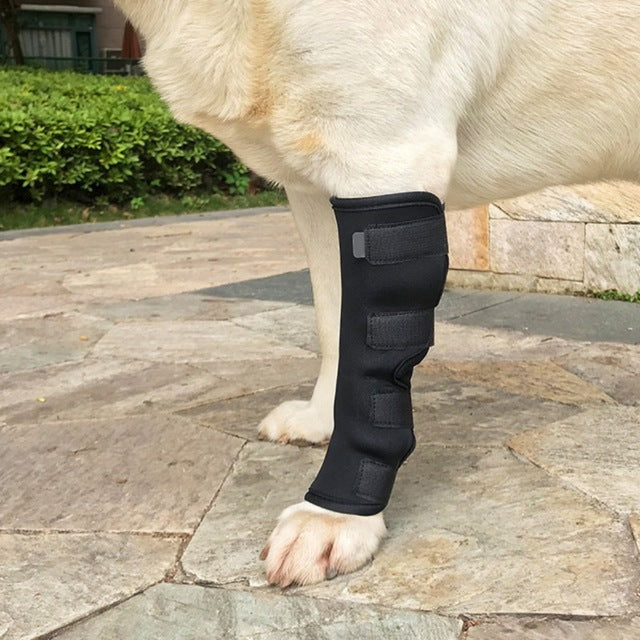 Dogs Injured Leg Protector Legguards Bandages