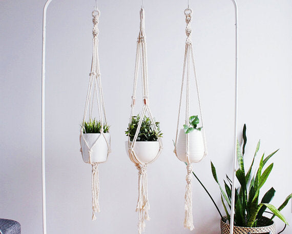 Plant Hanger