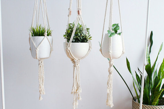 Plant Hanger