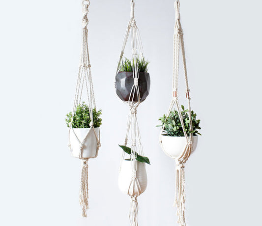 Plant Hanger