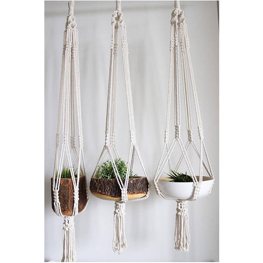 Plant Hanger