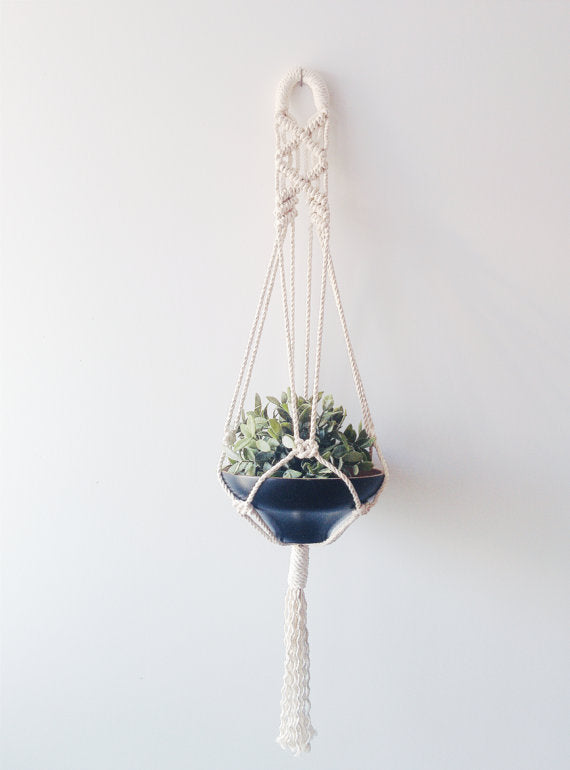 Hanging Planter