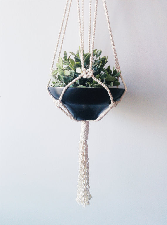 Hanging Planter