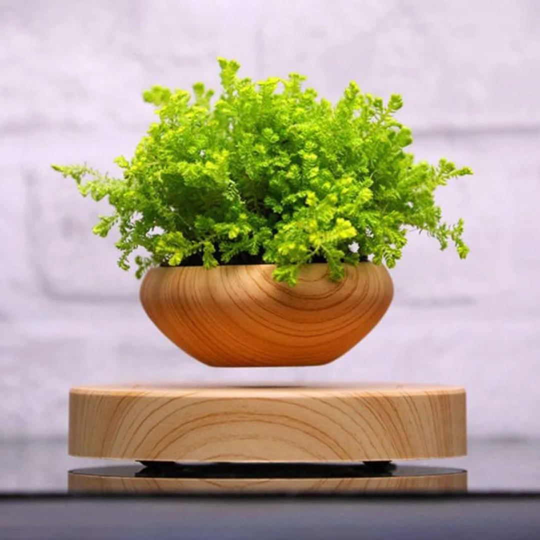 Levitating Plant Pot