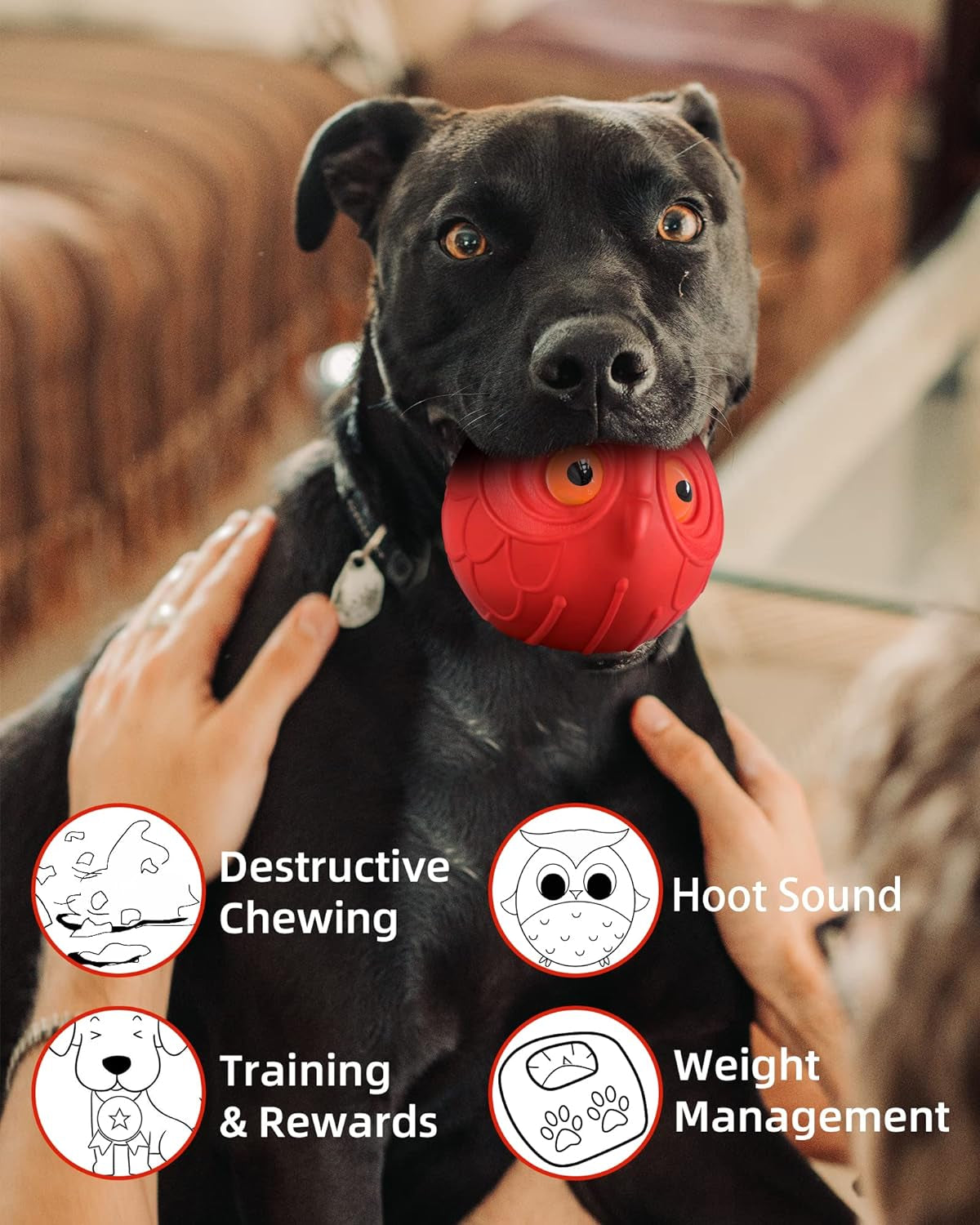 Giggle Ball for Dogs Indestructible Dog Toys for Aggressive Chewers Dog Ball Toy for Puppy Medium Large Dogs Natural Rubber Cute Owl Hoot Fun Giggle Sounds When Rolled or Shaken (Red Owl)